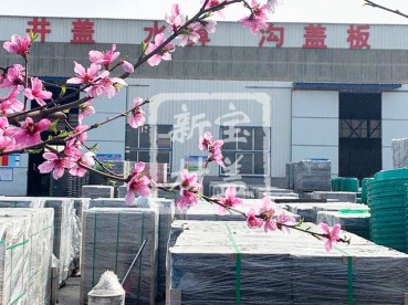 花滿枝頭，春意盎然